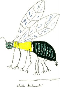 insect.JPG