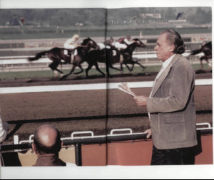 tapes booklet cover.jpg