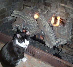 fireplace.jpg