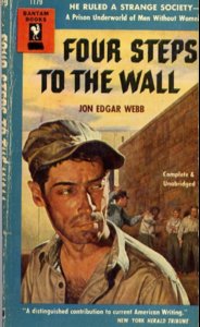 webb paperback.JPG