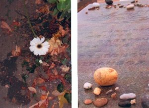 Untitled 15.jpg