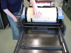 IMG_1192.jpg