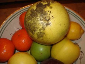 Grapefruit17---BUKnet.jpg