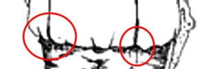 drawing_by_chris-tucci_CLOSE.GIF