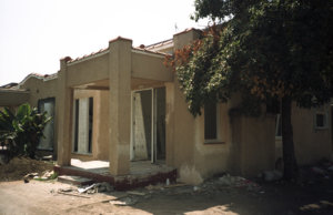 Img123.jpg