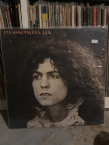 t rex.jpg