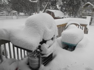 snow2.JPG