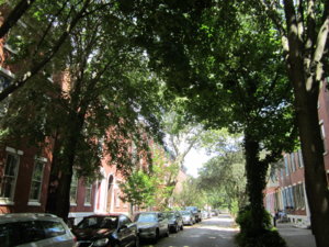 IMG_BUK0027.JPG