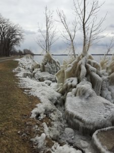 20180408_111037.jpg
