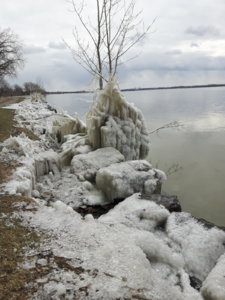 20180408_102919.jpg