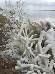 20180408_114207.jpg