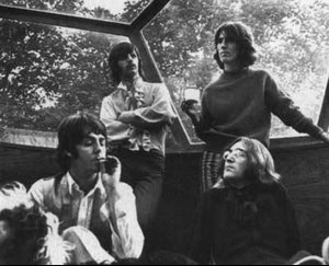 Beatle Bone.jpg