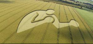 boxer-crop-circle.jpg