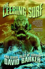 TheLeeringSurfBookCover.jpg