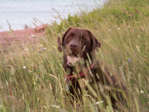 PICT0122.JPG