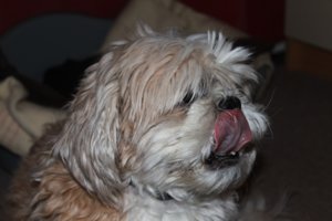 IMG_1592.jpg