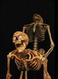 Lovers2a.jpg