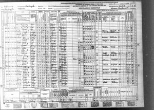 bukowski 1940 census2.jpg