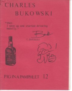 pig1.jpg