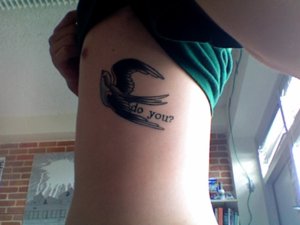 bluebird1.jpg