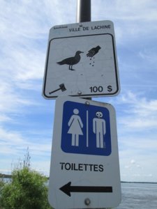 IMG_2216.jpg