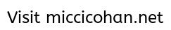 Micci-Cohan-Blank-City.jpg